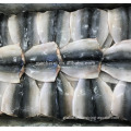 Flap Mackerel Chinese Frozen Fish Block Frozen Butterfly Mackerel Fish Flaps For Market Manufactory